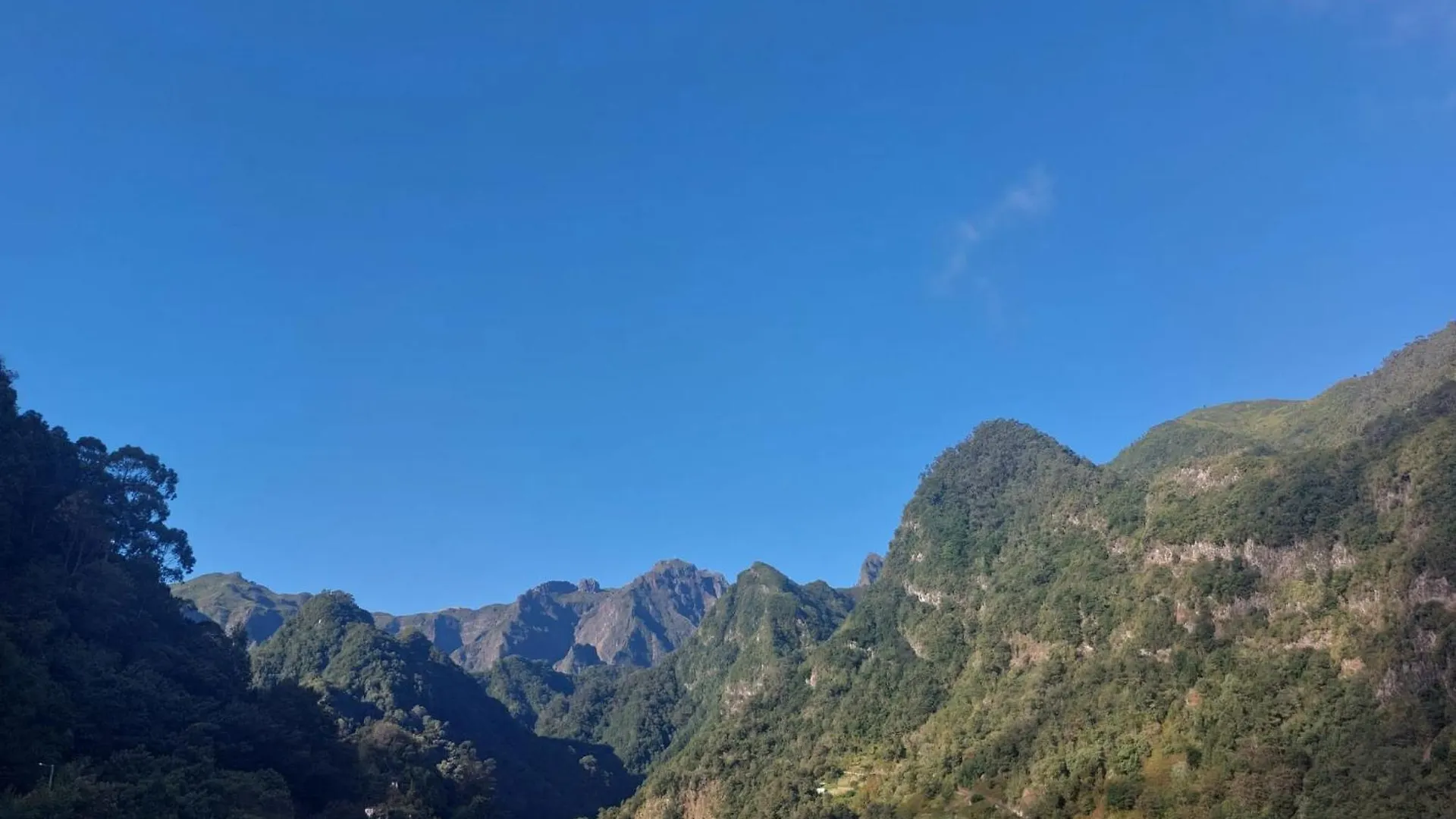 別荘 3A Botanical Dimensions Nature Terraces Bbq Ribeiro Frio